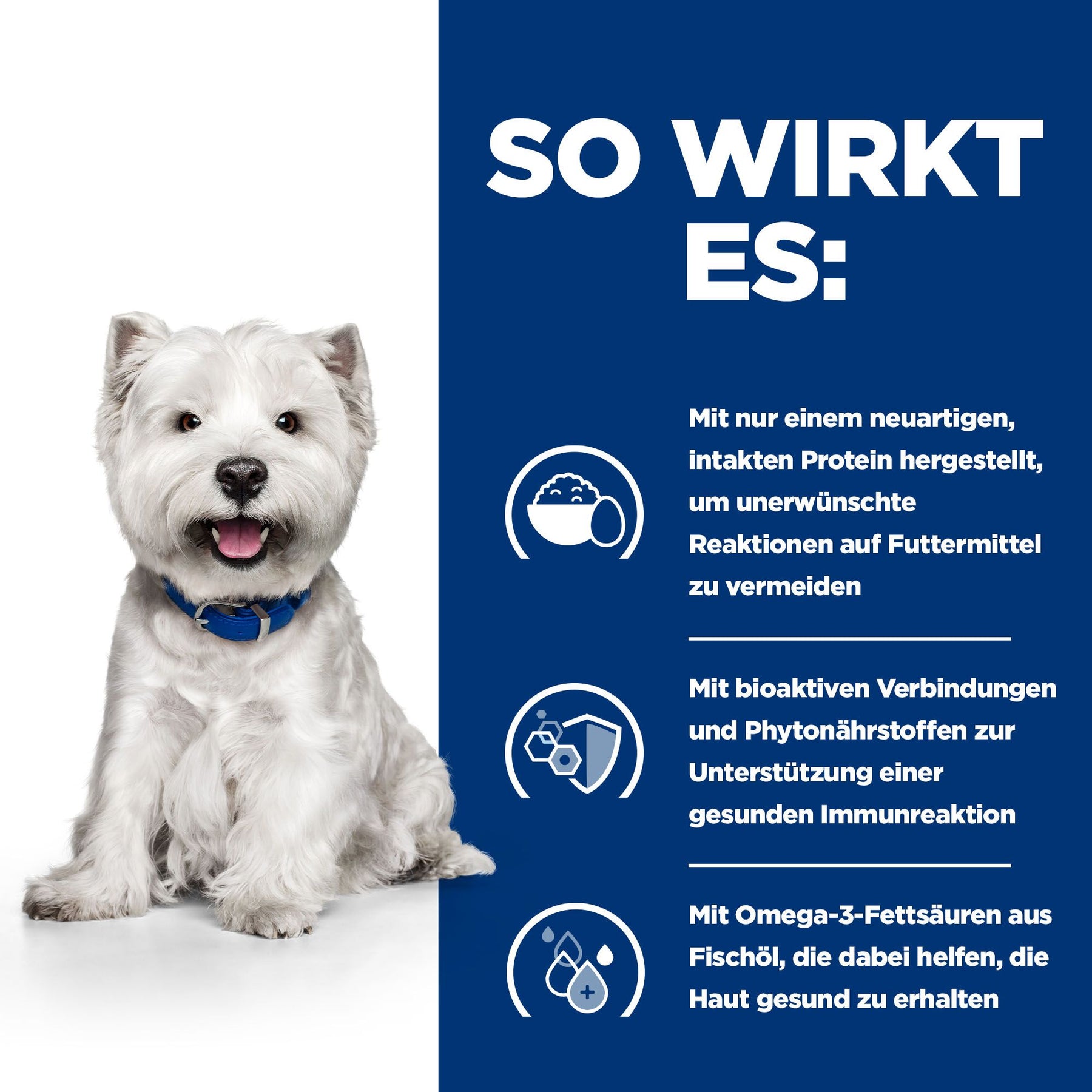 Derm Complete Mini Hundefutter Wie es hilft