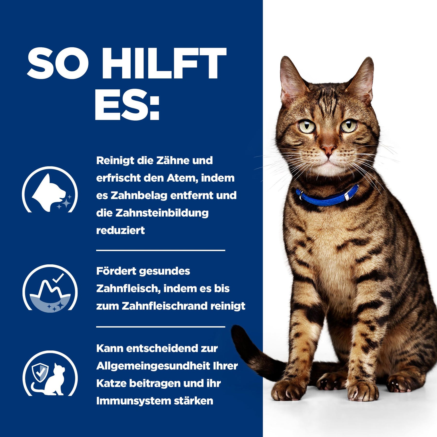 t/d Katzen Trockenfutter mit Huhn Wie es hilft