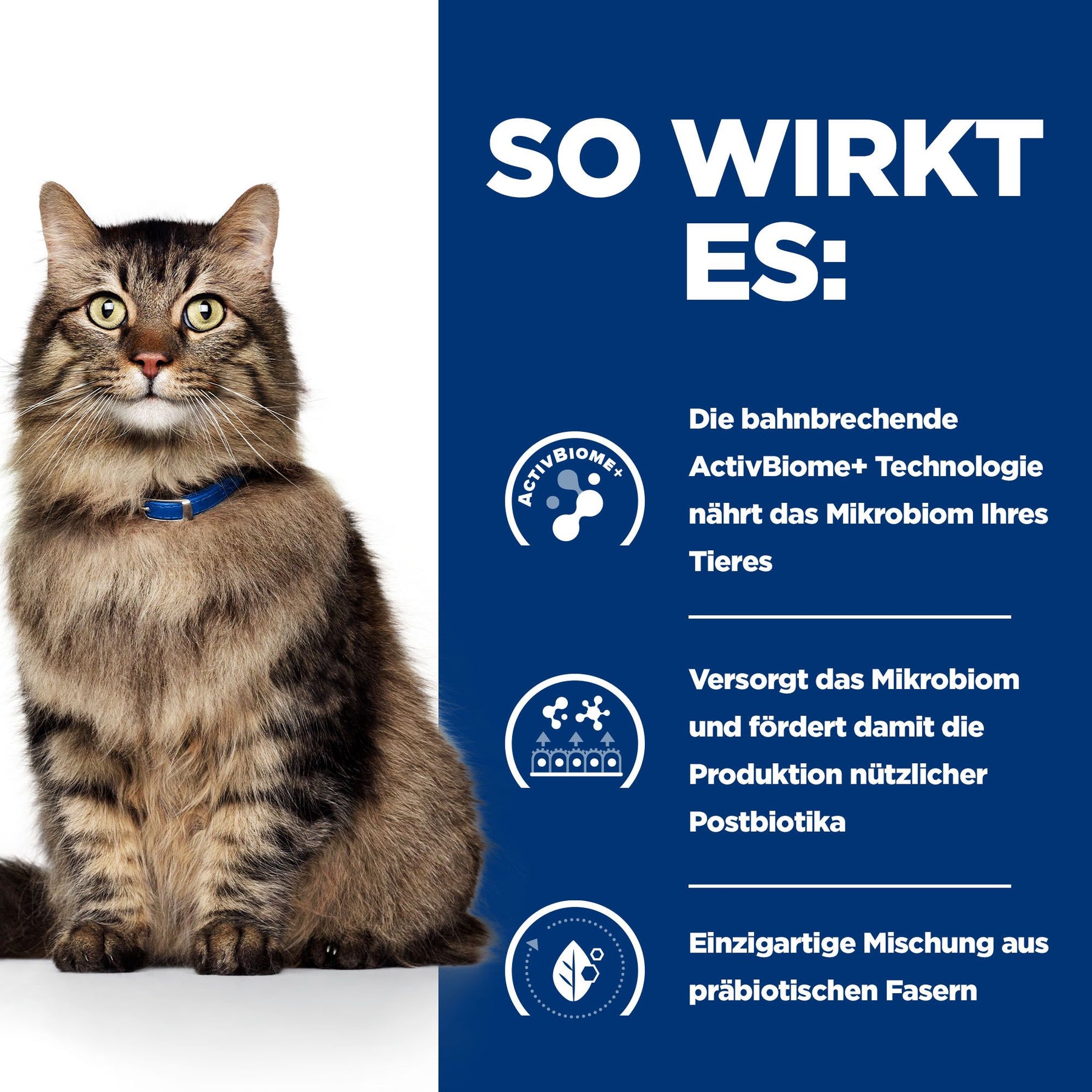 Gastrointestinal Biome Nassfutter für Katzen mit Huhn Wie es wirkt