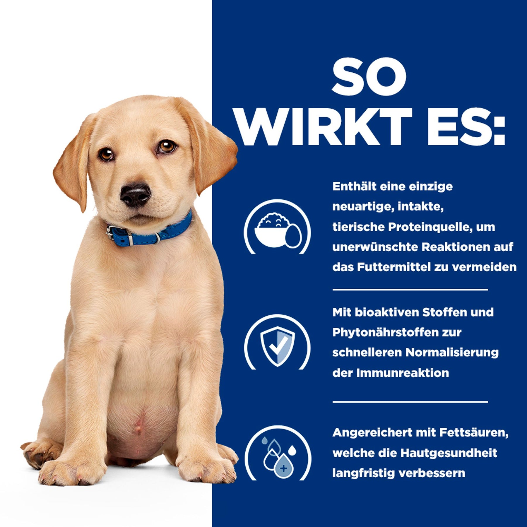 Derm Complete Welpenfutter mit Ei Wie es hilft