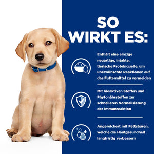 Derm Complete Welpenfutter mit Ei Wie es hilft