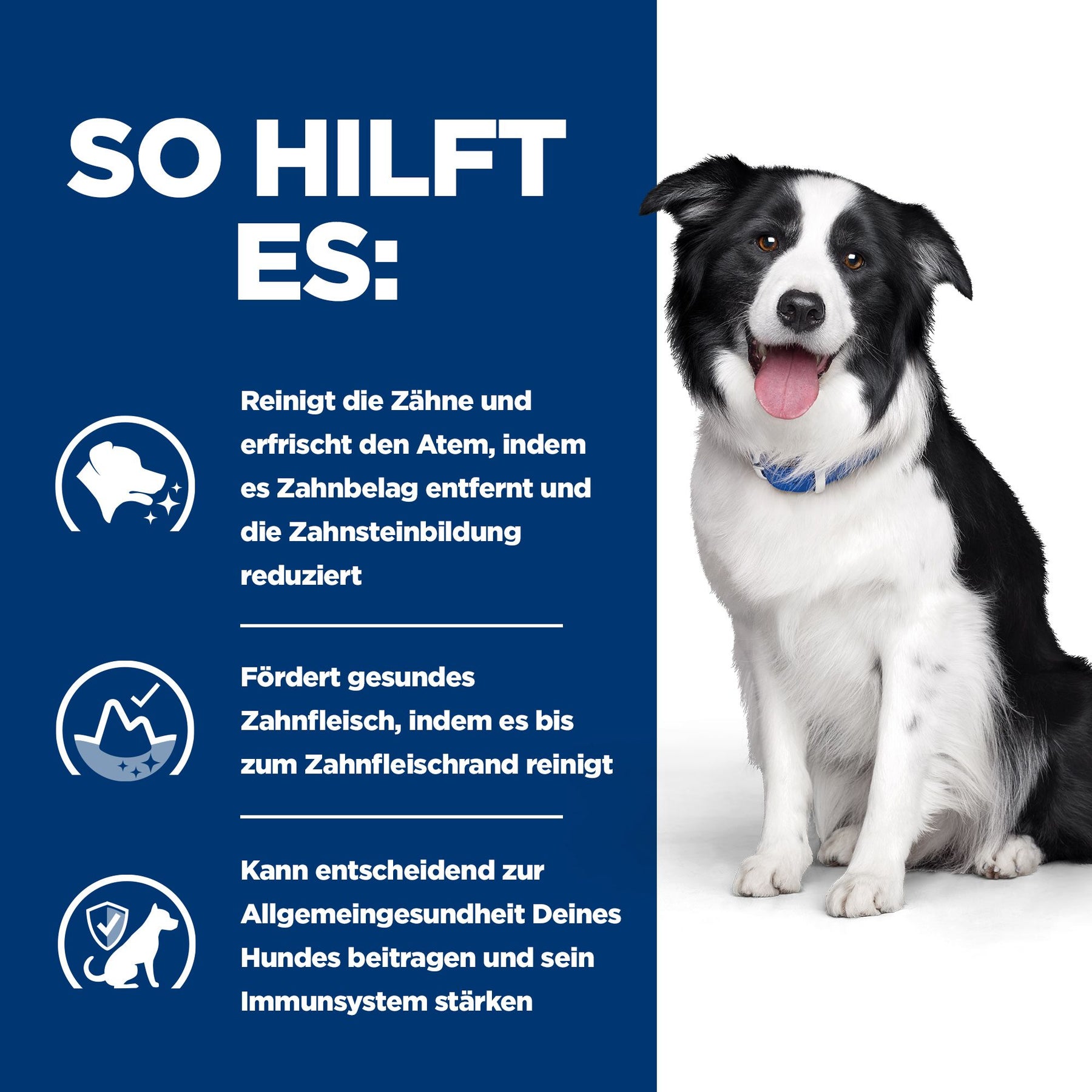 t/d Trockenfutter für Hunde mit Huhn Wie es hilft