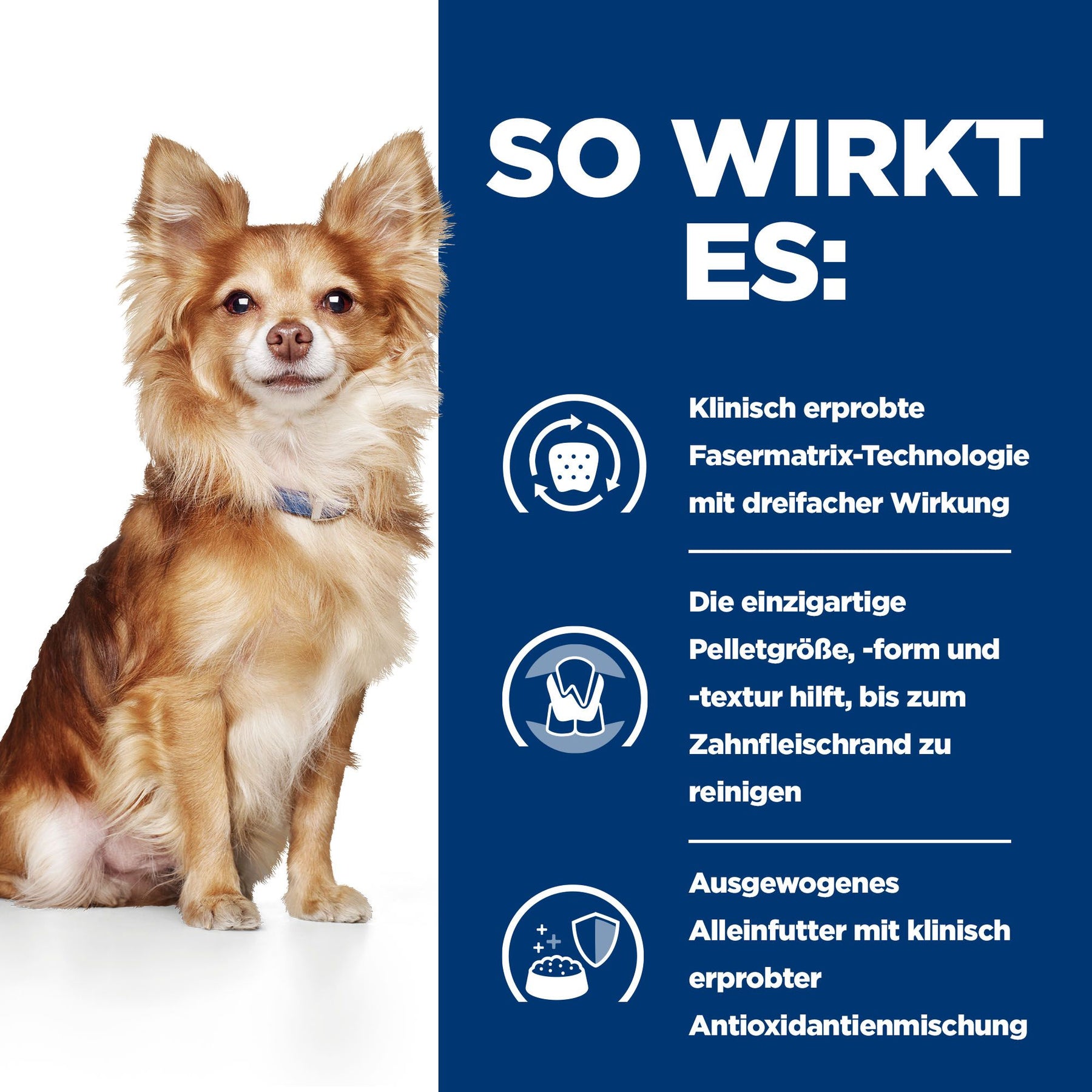 t/d Mini Hundefutter mit Huhn Wie es wirkt
