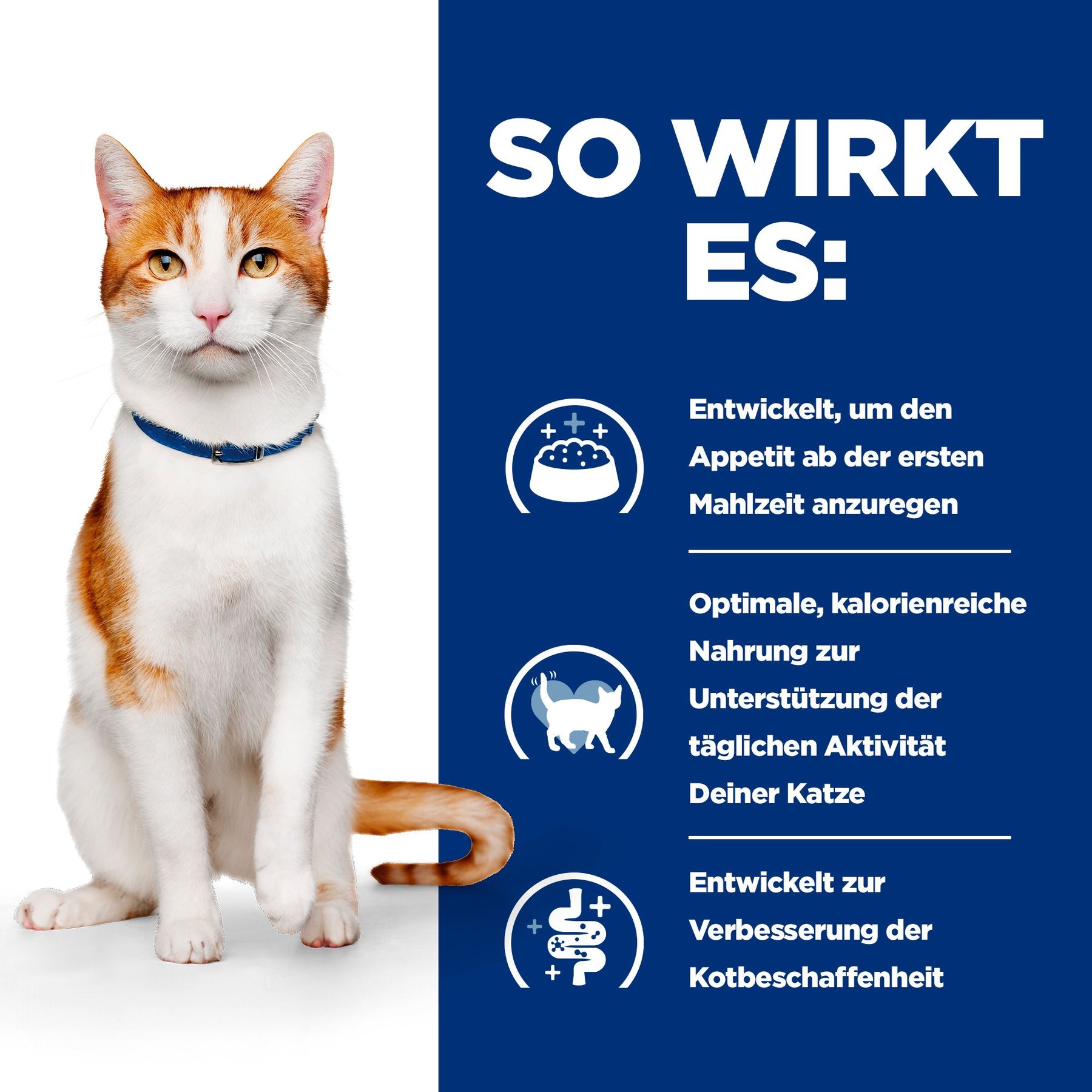 ON-Care Katzen Trockenfutter Huhn Wie es wirkt
